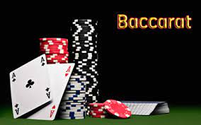 apply for baccarat
